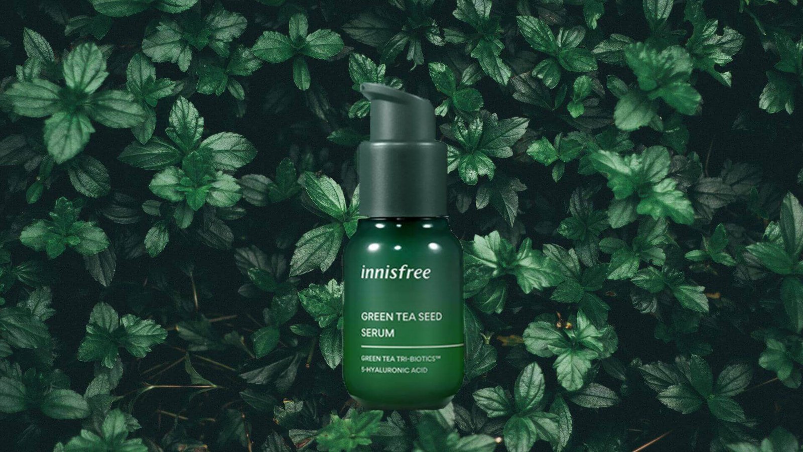 Skincare Innisfree Inovasi Alam Korea untuk Kulit Lebih Sehat dan Glowing